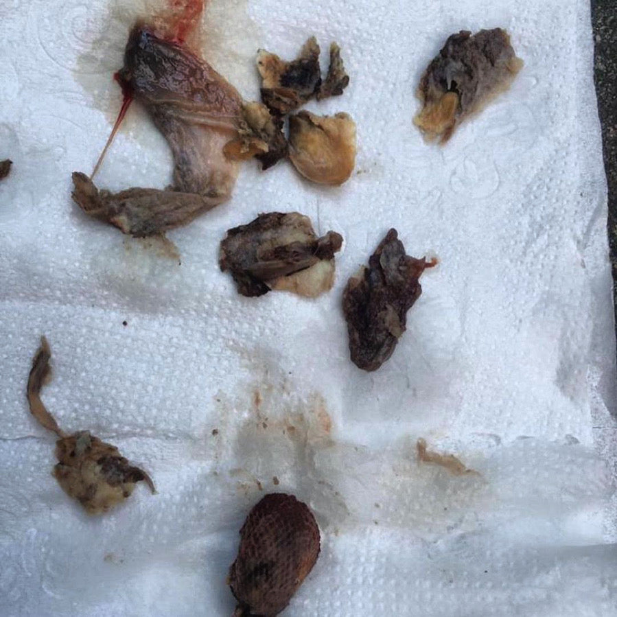 Newly Formulated Vaginal Detox Pearl BUY 1 GET ONE FREE